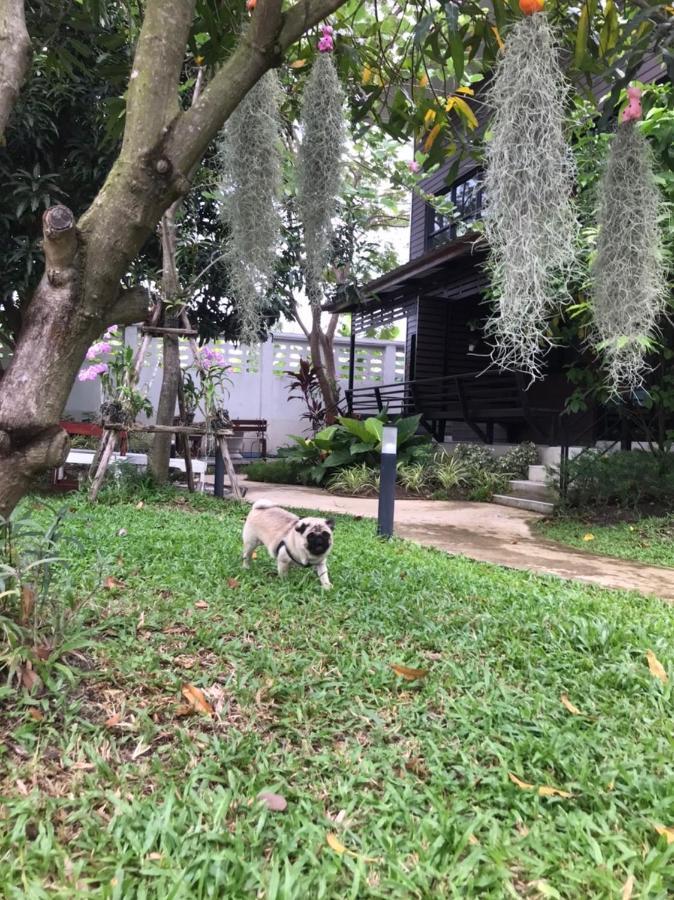 Baansuanklaiklungbangkrachao บ้านสวนใกล้กรุงบางกะเจ้า Phra Pradaeng Exterior foto